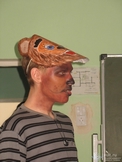  29